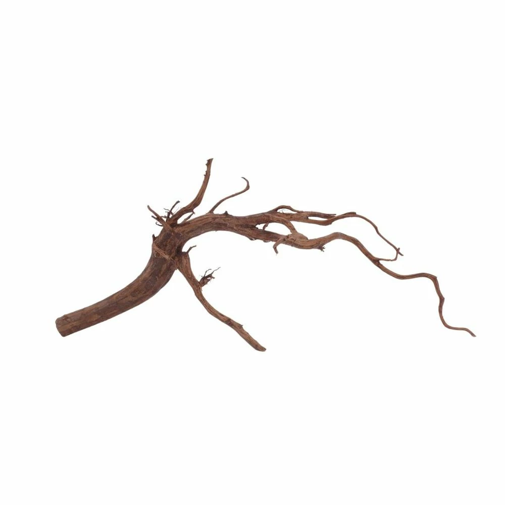 L Red Spider Wurzel Nr.6071 Fingerwurzel Echtholz Deko Aquascaping 4 L Red Spider Wurzel Nr.6071 Fingerwurzel Echtholz Deko Aquascaping – Bild 4