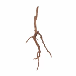 L Red Spider Wurzel Nr.6096 Fingerwurzel Echtholz Deko Aquascaping -Haus Dekoration Verkaufsgeschäft L Red Spider Wurzel Nr 6095 Fingerwurzel Echtholz Deko Aquascaping 6096 2 29505