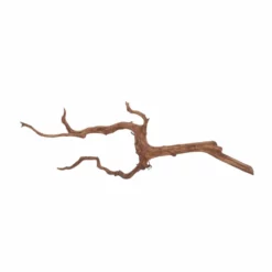 L Red Spider Wurzel Nr.6096 Fingerwurzel Echtholz Deko Aquascaping -Haus Dekoration Verkaufsgeschäft L Red Spider Wurzel Nr 6095 Fingerwurzel Echtholz Deko Aquascaping 6096 3 29505