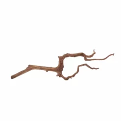 L Red Spider Wurzel Nr.6096 Fingerwurzel Echtholz Deko Aquascaping -Haus Dekoration Verkaufsgeschäft L Red Spider Wurzel Nr 6095 Fingerwurzel Echtholz Deko Aquascaping 6096 4 29505