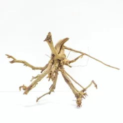 L Siennawurzel Nr.7450 Wurzel Holz Aquarium Deko Aquascaping -Haus Dekoration Verkaufsgeschäft L Siennawurzel Masse 29x28x50 Nr 7449 7450 2 19261