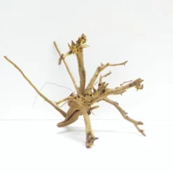 L Siennawurzel Nr.7450 Wurzel Holz Aquarium Deko Aquascaping -Haus Dekoration Verkaufsgeschäft L Siennawurzel Masse 29x28x50 Nr 7449 7450 3 19261