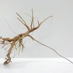 L Siennawurzel Nr.7425 Wurzel Holz Aquarium Deko Aquascaping -Haus Dekoration Verkaufsgeschäft L Siennawurzel Masse 42x27x31 Nr 7424 7425 2 19236