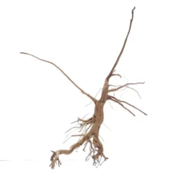 L Siennawurzel Nr.7425 Wurzel Holz Aquarium Deko Aquascaping