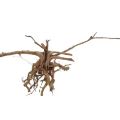 L Siennawurzel Nr.7469 Wurzel Holz Aquarium Deko Aquascaping