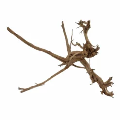 L Siennawurzel Nr.2435 Wurzel Holz Aquarium Deko Aquascaping -Haus Dekoration Verkaufsgeschäft L Siennawurzel Nr 2434 Wurzel Holz Aquarium Deko Aquascaping 2435 4 25152