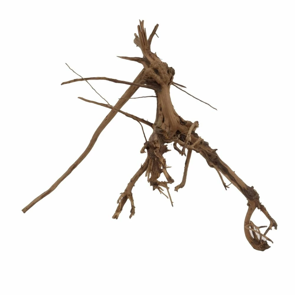 L Siennawurzel Nr.2444 Wurzel Holz Aquarium Deko Aquascaping 1 L Siennawurzel Nr.2444 Wurzel Holz Aquarium Deko Aquascaping