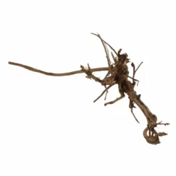 L Siennawurzel Nr.2444 Wurzel Holz Aquarium Deko Aquascaping 6 L Siennawurzel Nr.2444 Wurzel Holz Aquarium Deko Aquascaping -Haus Dekoration Verkaufsgeschäft L Siennawurzel Nr 2443 Wurzel Holz Aquarium Deko Aquascaping 2444 3 25161