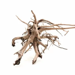 L Siennawurzel Nr.2474 Wurzel Holz Aquarium Deko Aquascaping -Haus Dekoration Verkaufsgeschäft L Siennawurzel Nr 2473 Wurzel Holz Aquarium Deko Aquascaping 2474 3 25218