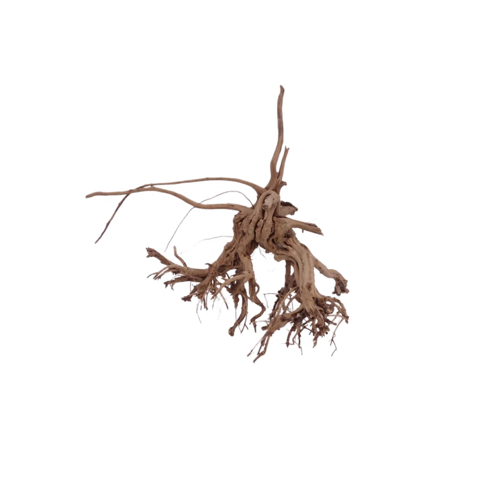 L Siennawurzel Nr.5288 Wurzel Holz Aquarium Deko Aquascaping 1 L Siennawurzel Nr.5288 Wurzel Holz Aquarium Deko Aquascaping