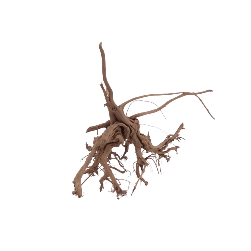 L Siennawurzel Nr.5288 Wurzel Holz Aquarium Deko Aquascaping 3 L Siennawurzel Nr.5288 Wurzel Holz Aquarium Deko Aquascaping – Bild 3