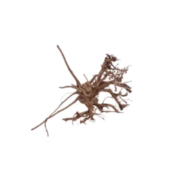 L Siennawurzel Nr.5288 Wurzel Holz Aquarium Deko Aquascaping 7 L Siennawurzel Nr.5288 Wurzel Holz Aquarium Deko Aquascaping -Haus Dekoration Verkaufsgeschäft L Siennawurzel Nr 5287 Wurzel Holz Aquarium Deko Aquascaping 5288 3 28586