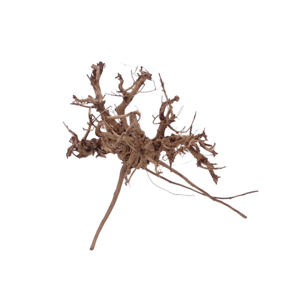 L Siennawurzel Nr.5288 Wurzel Holz Aquarium Deko Aquascaping 2 L Siennawurzel Nr.5288 Wurzel Holz Aquarium Deko Aquascaping – Bild 2