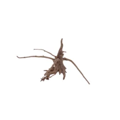 L Siennawurzel Nr.5308 Wurzel Holz Aquarium Deko Aquascaping -Haus Dekoration Verkaufsgeschäft L Siennawurzel Nr 5307 Wurzel Holz Aquarium Deko Aquascaping 5308 2 28607