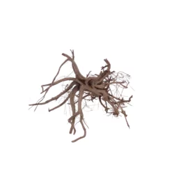 L Siennawurzel Nr.5312 Wurzel Holz Aquarium Deko Aquascaping -Haus Dekoration Verkaufsgeschäft L Siennawurzel Nr 5311 Wurzel Holz Aquarium Deko Aquascaping 5312 3 28611