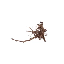 L Siennawurzel Nr.5313 Wurzel Holz Aquarium Deko Aquascaping -Haus Dekoration Verkaufsgeschäft L Siennawurzel Nr 5312 Wurzel Holz Aquarium Deko Aquascaping 5313 2 28612