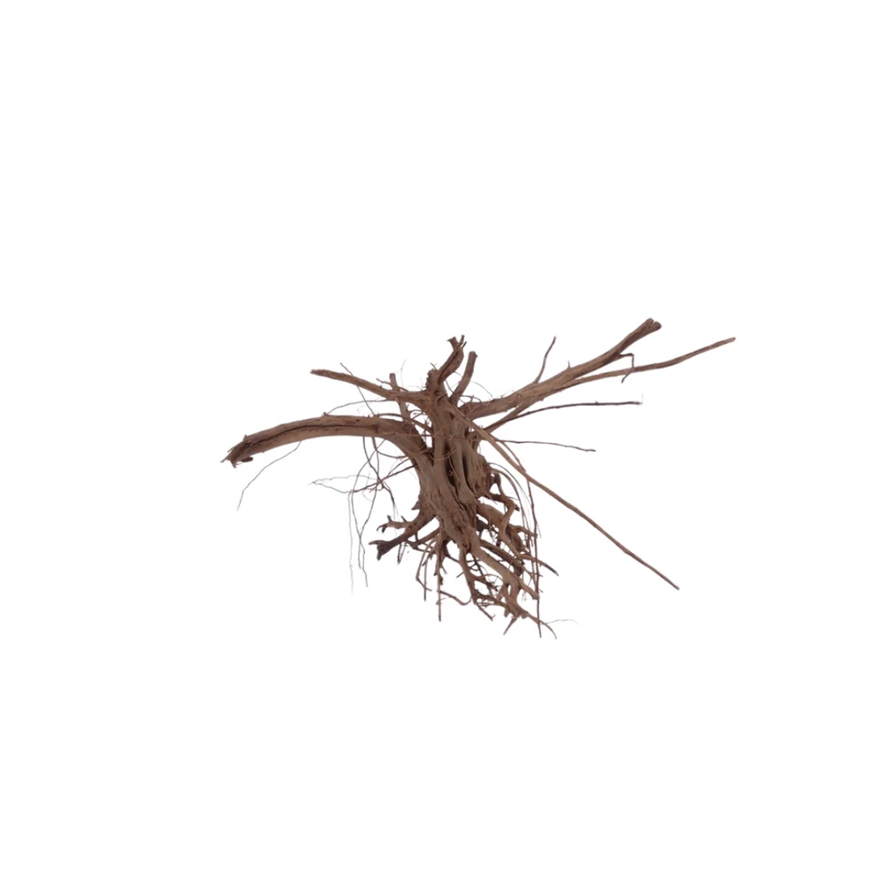 L Siennawurzel Nr.5315 Wurzel Holz Aquarium Deko Aquascaping 1 L Siennawurzel Nr.5315 Wurzel Holz Aquarium Deko Aquascaping