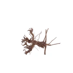L Siennawurzel Nr.5318 Wurzel Holz Aquarium Deko Aquascaping -Haus Dekoration Verkaufsgeschäft L Siennawurzel Nr 5317 Wurzel Holz Aquarium Deko Aquascaping 5318 4 28619