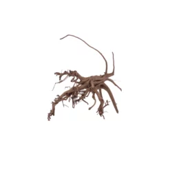 L Siennawurzel Nr.5321 Wurzel Holz Aquarium Deko Aquascaping -Haus Dekoration Verkaufsgeschäft L Siennawurzel Nr 5320 Wurzel Holz Aquarium Deko Aquascaping 5321 3 28622