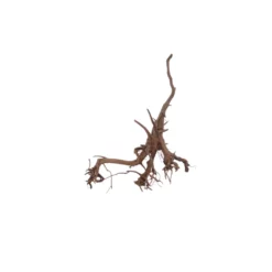 L Siennawurzel Nr.5322 Wurzel Holz Aquarium Deko Aquascaping