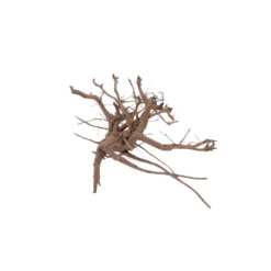 L Siennawurzel Nr.5325 Wurzel Holz Aquarium Deko Aquascaping -Haus Dekoration Verkaufsgeschäft L Siennawurzel Nr 5324 Wurzel Holz Aquarium Deko Aquascaping 5325 3 28626