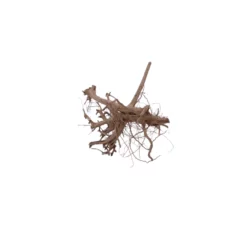 L Siennawurzel Nr.5328 Wurzel Holz Aquarium Deko Aquascaping -Haus Dekoration Verkaufsgeschäft L Siennawurzel Nr 5327 Wurzel Holz Aquarium Deko Aquascaping 5328 3 28629