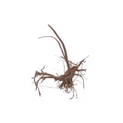 L Siennawurzel Nr.5281 Wurzel Holz Aquarium Deko Aquascaping -Haus Dekoration Verkaufsgeschäft L Siennawurzel Nr 9282 Wurzel Holz Aquarium Deko Aquascaping 5281 2 28579