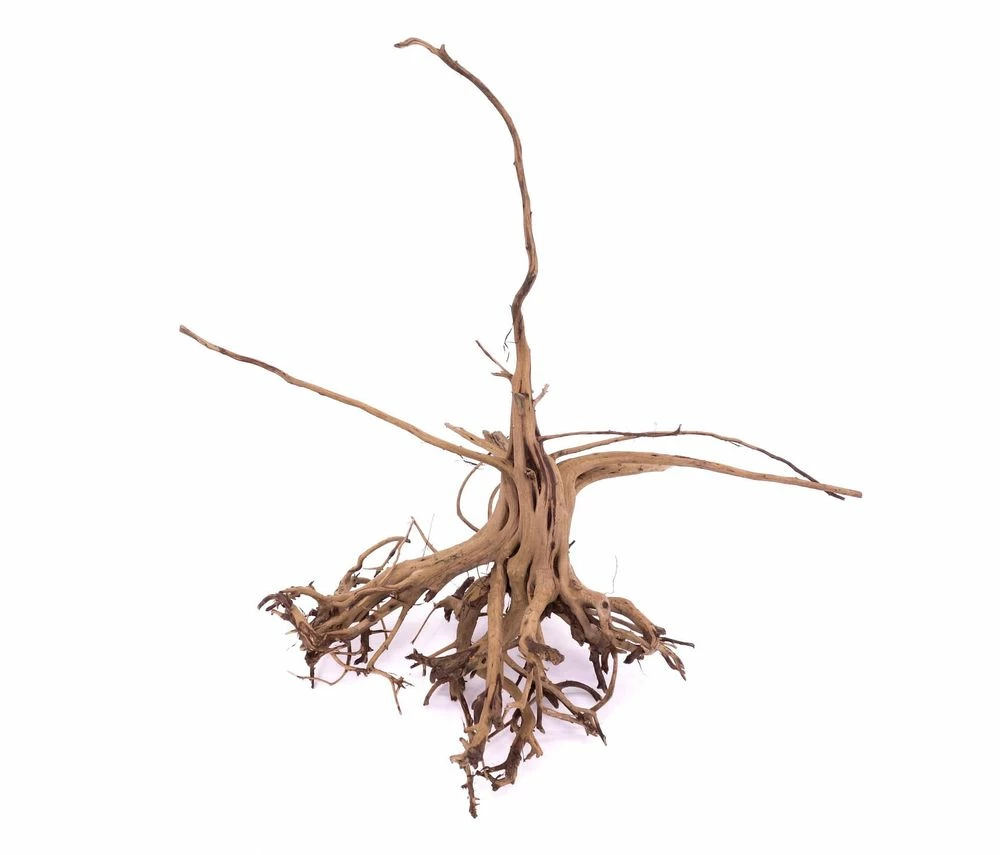 L Siennawurzel Nr.9263 Wurzel Holz Aquarium Deko Aquascaping 1 L Siennawurzel Nr.9263 Wurzel Holz Aquarium Deko Aquascaping