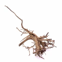 L Siennawurzel Nr.9263 Wurzel Holz Aquarium Deko Aquascaping 5 L Siennawurzel Nr.9263 Wurzel Holz Aquarium Deko Aquascaping -Haus Dekoration Verkaufsgeschäft L Siennawurzel original Foto Nr 9262 Wurzel Holz Aquarium Deko Aquascaping 9263 3 22394