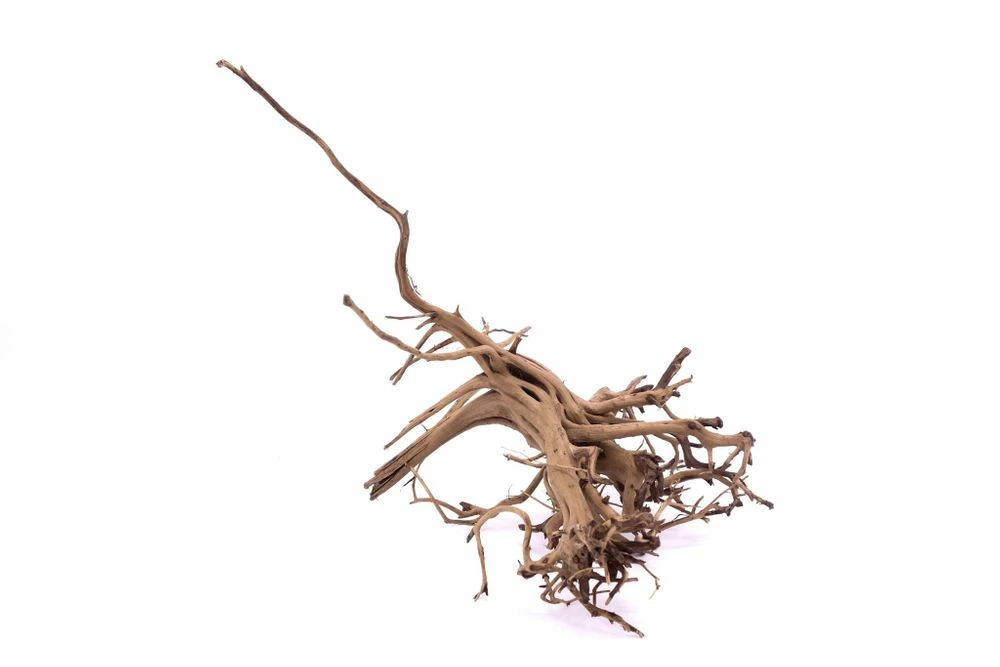 L Siennawurzel Nr.9263 Wurzel Holz Aquarium Deko Aquascaping 2 L Siennawurzel Nr.9263 Wurzel Holz Aquarium Deko Aquascaping – Bild 2