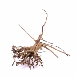 L Siennawurzel Nr.9263 Wurzel Holz Aquarium Deko Aquascaping 6 L Siennawurzel Nr.9263 Wurzel Holz Aquarium Deko Aquascaping -Haus Dekoration Verkaufsgeschäft L Siennawurzel original Foto Nr 9262 Wurzel Holz Aquarium Deko Aquascaping 9263 4 22394