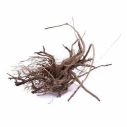 L Siennawurzel Nr.9282 Wurzel Holz Aquarium Deko Aquascaping 7 L Siennawurzel Nr.9282 Wurzel Holz Aquarium Deko Aquascaping -Haus Dekoration Verkaufsgeschäft L Siennawurzel original Foto Nr 9281 Wurzel Holz Aquarium Deko Aquascaping 9282 2 22413