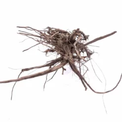 L Siennawurzel Nr.9282 Wurzel Holz Aquarium Deko Aquascaping 6 L Siennawurzel Nr.9282 Wurzel Holz Aquarium Deko Aquascaping -Haus Dekoration Verkaufsgeschäft L Siennawurzel original Foto Nr 9281 Wurzel Holz Aquarium Deko Aquascaping 9282 4 22413