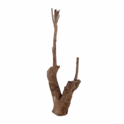 L Talawa Wurzel Nr.3205 5 L Talawa Wurzel Nr.3205 -Haus Dekoration Verkaufsgeschäft L Talawa Wurzel Nr 2829 3205 2 Kopie 26280