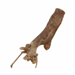 L Talawa Wurzel Nr.4406