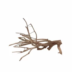 L Talawa Wurzel Nr.6811 -Haus Dekoration Verkaufsgeschäft L Talawa Wurzel Nr 6810 6811 3 30426