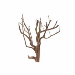 L Talawa Wurzel Nr.6811 -Haus Dekoration Verkaufsgeschäft L Talawa Wurzel Nr 6810 6811 4 30426