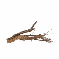 L Talawa Wurzel Nr.6817 -Haus Dekoration Verkaufsgeschäft L Talawa Wurzel Nr 6816 6817 3 30433