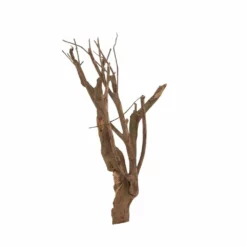 L Talawa Wurzel Nr.6817 -Haus Dekoration Verkaufsgeschäft L Talawa Wurzel Nr 6816 6817 4 30433