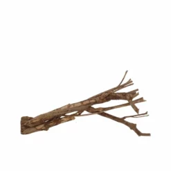 L Talawa Wurzel Nr.6818 -Haus Dekoration Verkaufsgeschäft L Talawa Wurzel Nr 6817 6818 2 30434