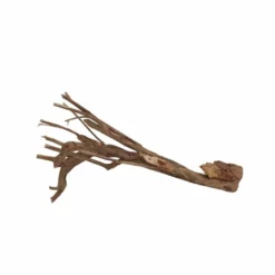 L Talawa Wurzel Nr.6818 -Haus Dekoration Verkaufsgeschäft L Talawa Wurzel Nr 6817 6818 3 30434