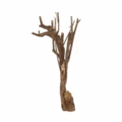 L Talawa Wurzel Nr.6818 -Haus Dekoration Verkaufsgeschäft L Talawa Wurzel Nr 6817 6818 4 30434