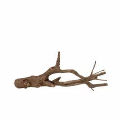 L Talawa Wurzel Nr.6824 -Haus Dekoration Verkaufsgeschäft L Talawa Wurzel Nr 6823 6824 3 30440