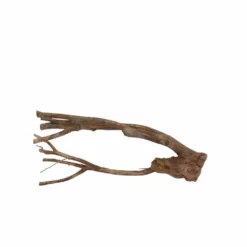 L Talawa Wurzel Nr.6829 -Haus Dekoration Verkaufsgeschäft L Talawa Wurzel Nr 6828 6829 2 30445