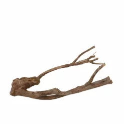 L Talawa Wurzel Nr.6829 -Haus Dekoration Verkaufsgeschäft L Talawa Wurzel Nr 6828 6829 3 30445