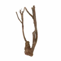 L Talawa Wurzel Nr.6829 -Haus Dekoration Verkaufsgeschäft L Talawa Wurzel Nr 6828 6829 4 30445