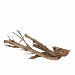 L Talawa Wurzel Nr.6842 -Haus Dekoration Verkaufsgeschäft L Talawa Wurzel Nr 6841 6842 2 30460