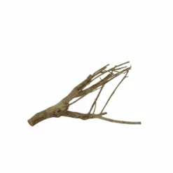 L Talawa Wurzel Nr.7393 -Haus Dekoration Verkaufsgeschäft L Talawa Wurzel Nr 7392 7393 2 31134