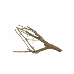 L Talawa Wurzel Nr.7393 -Haus Dekoration Verkaufsgeschäft L Talawa Wurzel Nr 7392 7393 3 31134