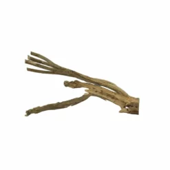 L Talawa Wurzel Nr.7400 -Haus Dekoration Verkaufsgeschäft L Talawa Wurzel Nr 7399 7400 3 31141